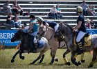 Pferd International 029